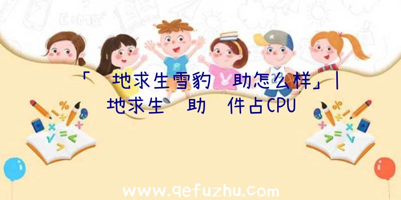 「绝地求生雪豹辅助怎么样」|绝地求生辅助软件占CPU